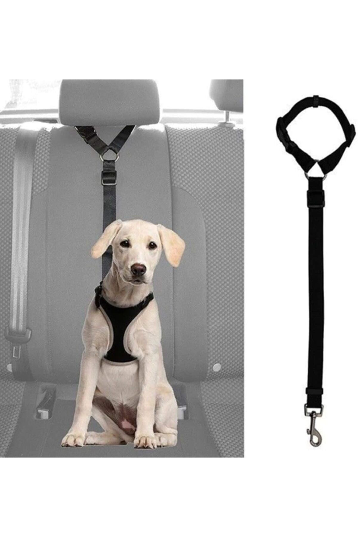 FilizoraSell Bypet Köpek Emniyet Kemeri - Köpek Araç Tasması ve G