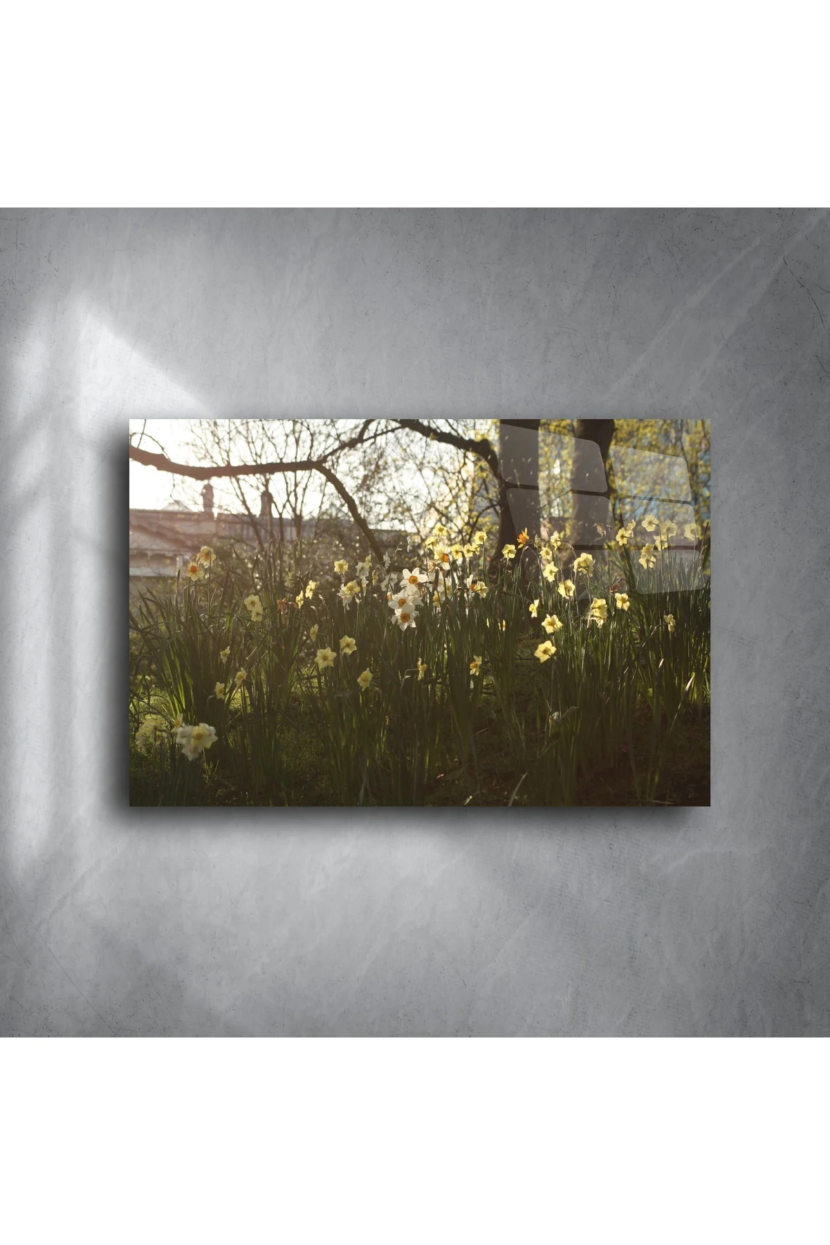 Fine Art Çiçek Fotoğrafı Tablosu Fine Art Çiçek Fotoğrafı Tablosu
