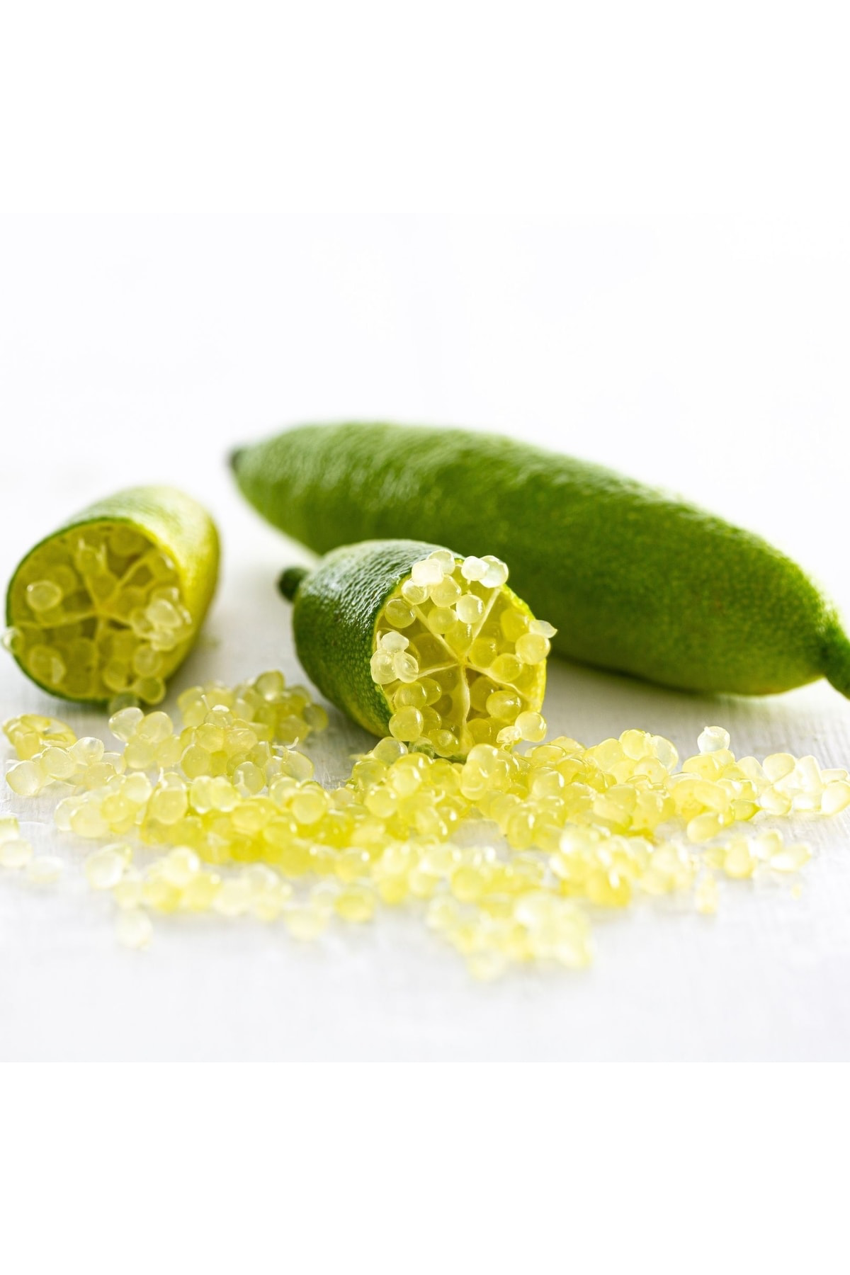 Finger Lime Limon Fidanı
