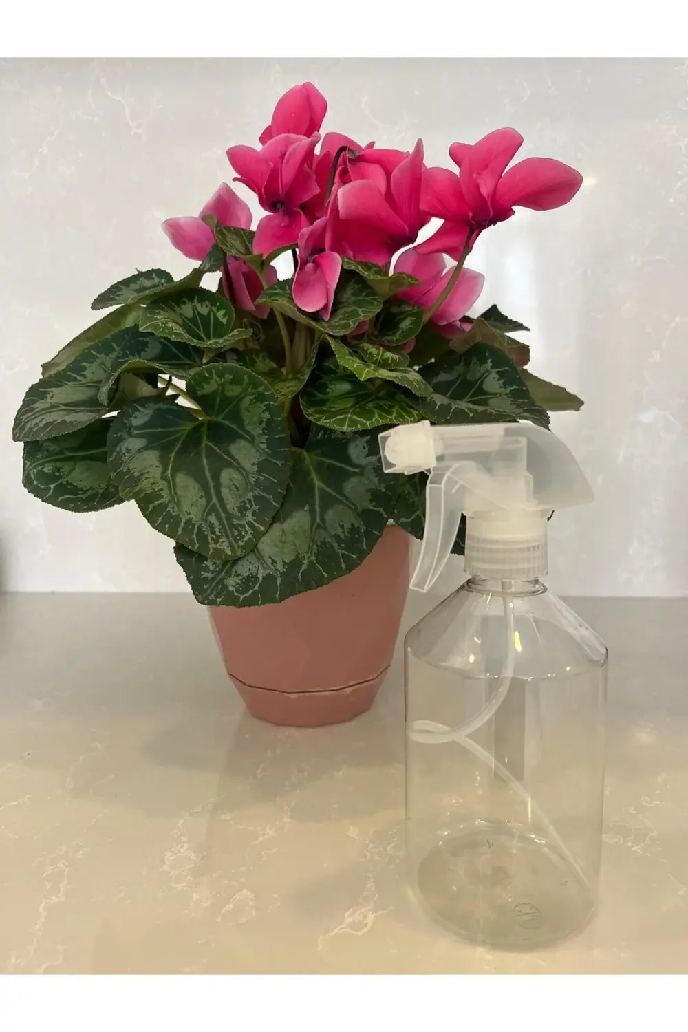 Fısfıs Çiçek Sulama Su Sprey Şişesi | Çok Amaçlı Sprey Su Şişesi