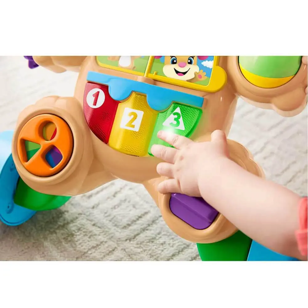 Fisher Price Eğitici Köpekçik Yürüteç Türkçe FTG10