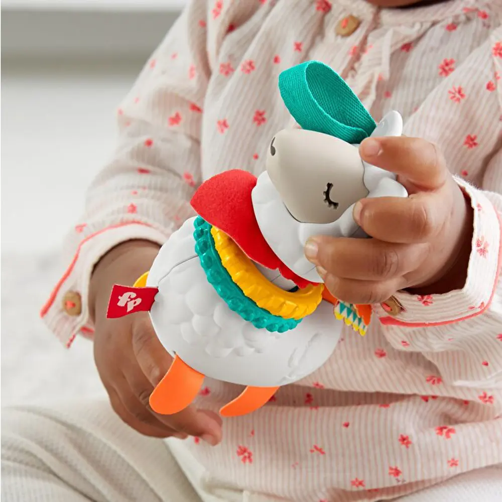Fisher Price Eğlenceli Arkadaşlar Dişlik ve Çıngıraklar Click Cla