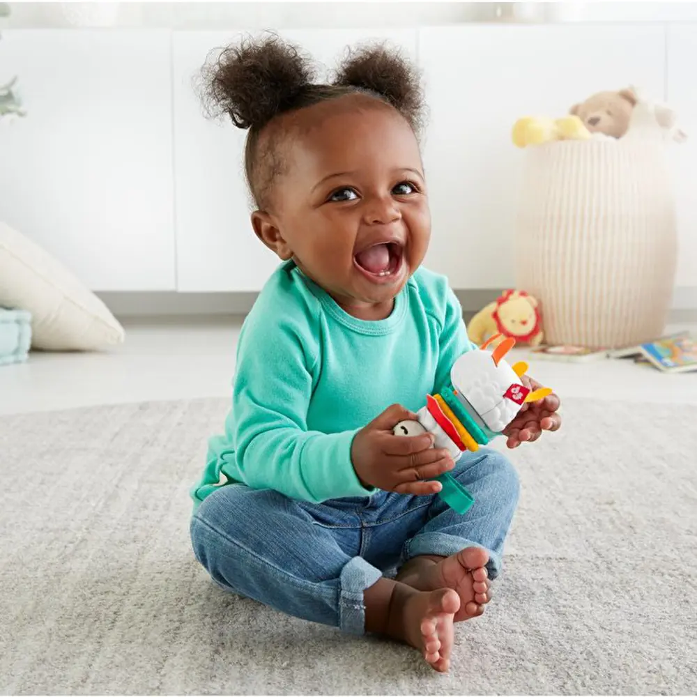 Fisher Price Eğlenceli Arkadaşlar Dişlik ve Çıngıraklar Click Cla