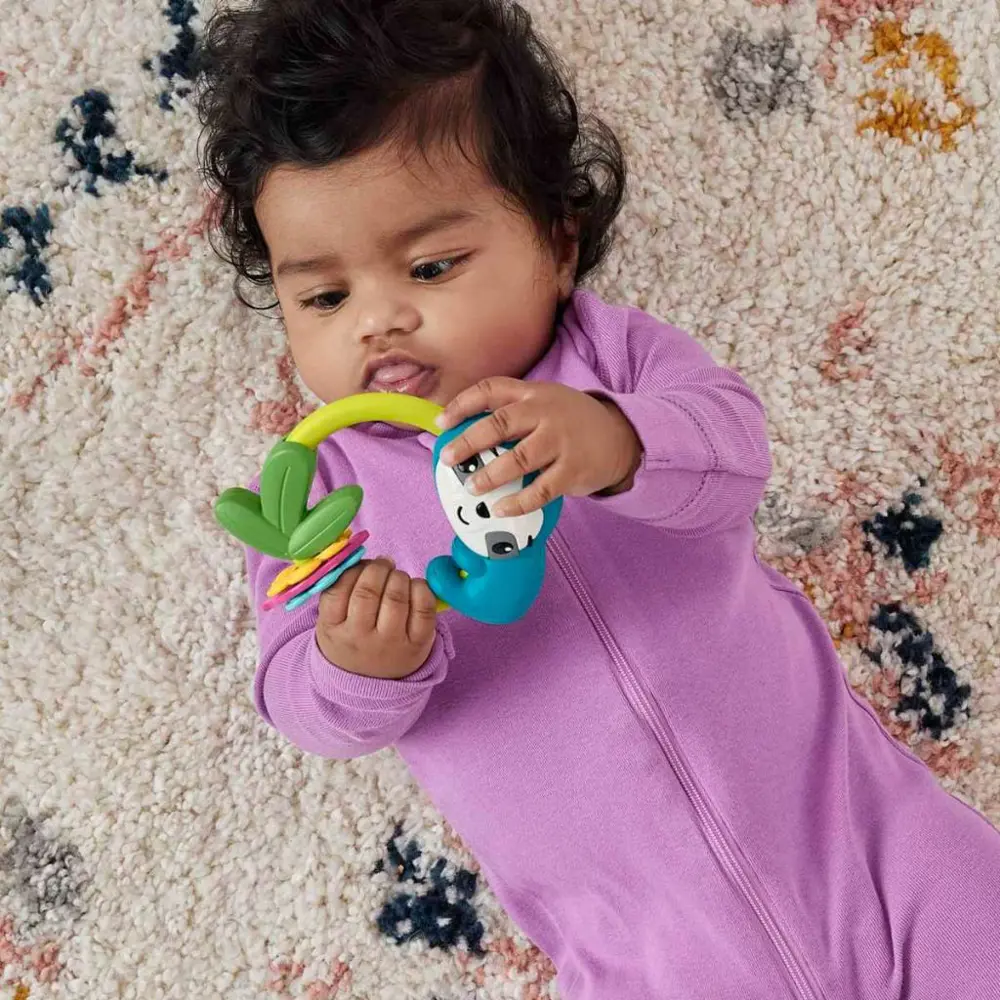 Fisher Price Eğlenceli Dostlar Makaralı Tembel Hayvan HJW11-HKD70