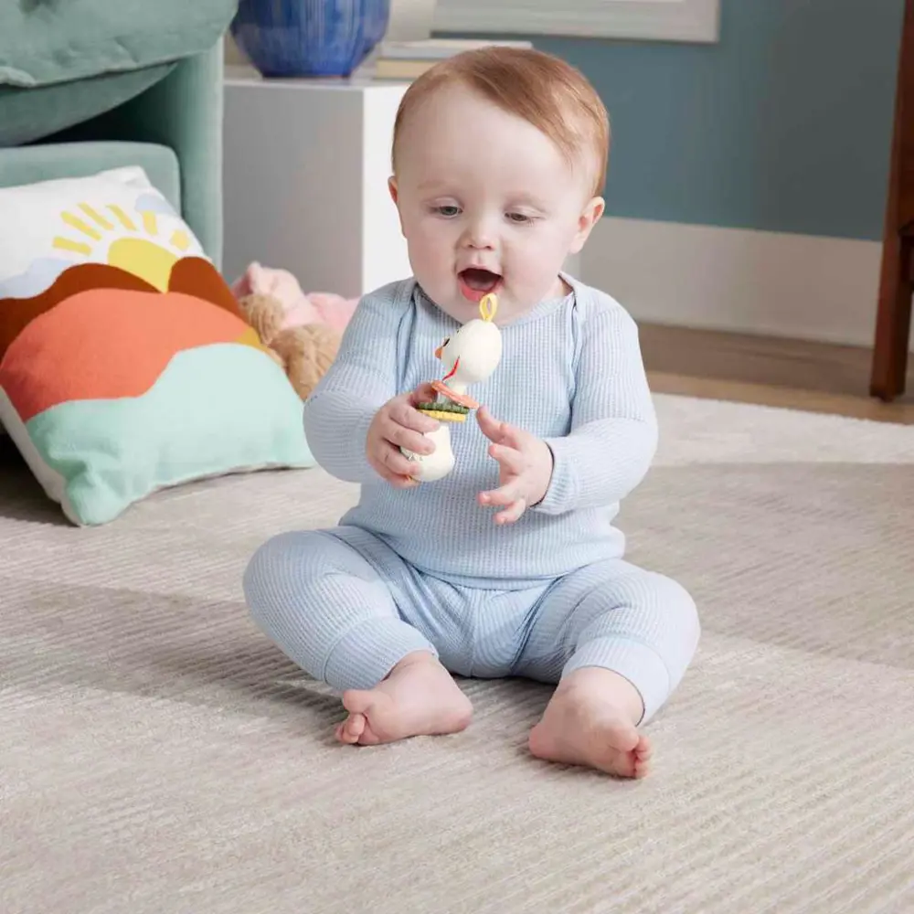 Fisher Price Sensimals Dişlik Seti Kaz HRB19-HRB22