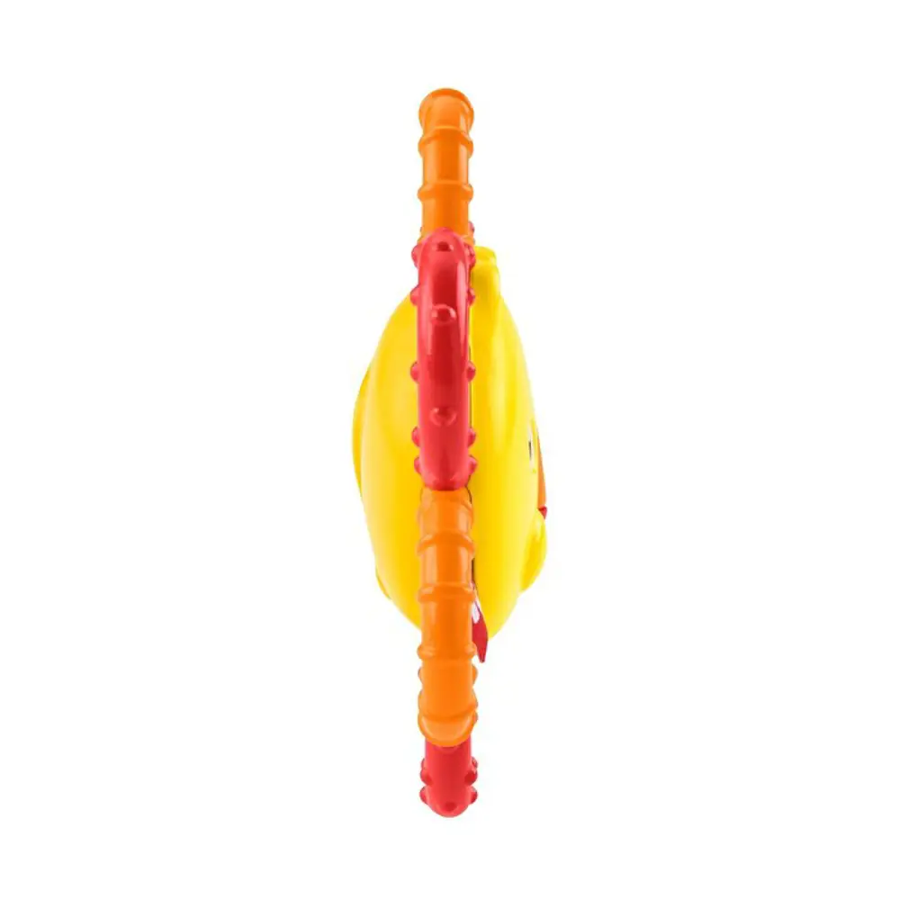 Fisher Price Sevimli Dostlar Dişlik ve Çıngıraklar Aslan GGF02-GG