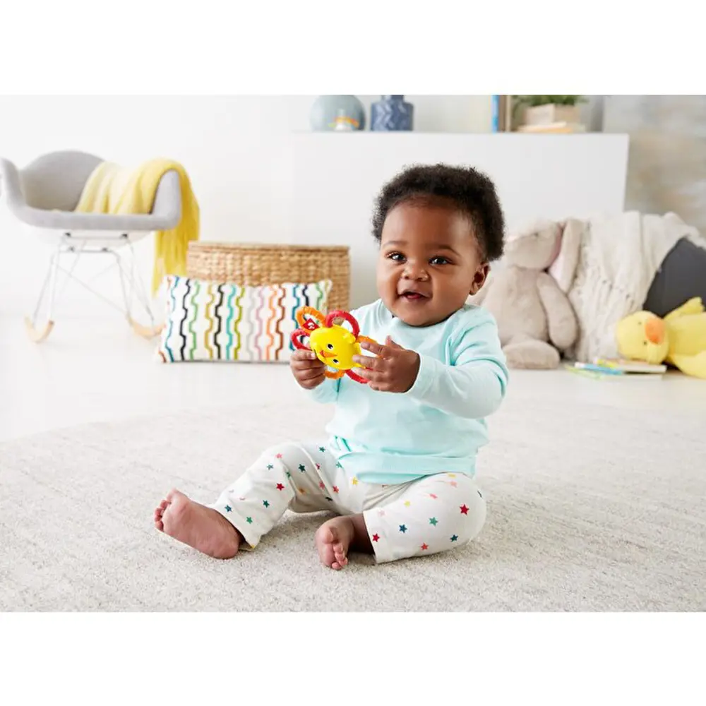 Fisher Price Sevimli Dostlar Dişlik ve Çıngıraklar Aslan GGF02-GG
