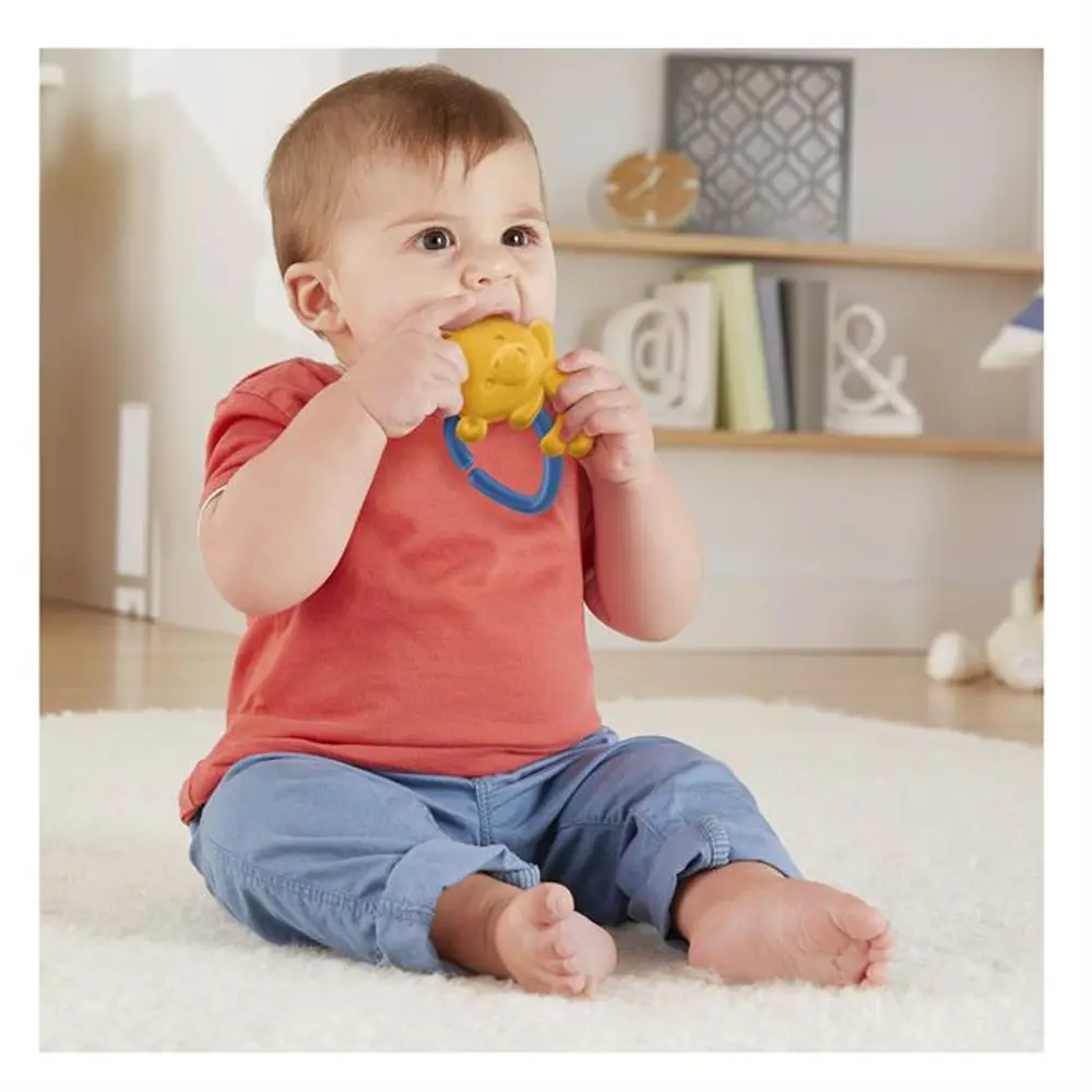 Fisher Price Sevimli Hayvancıklar Dişlikler GYN23-GYN24