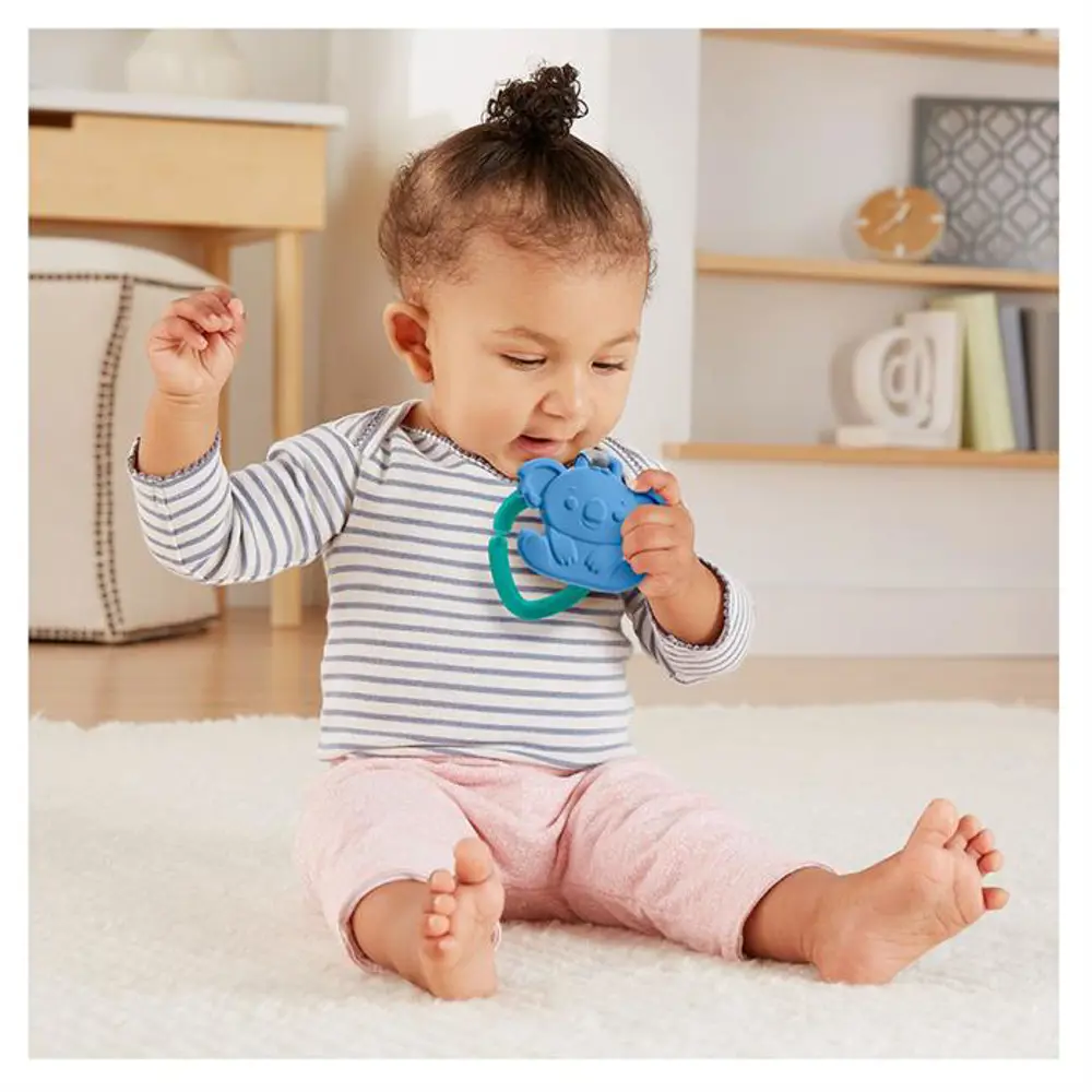Fisher Price Sevimli Hayvancıklar Dişlikler GYN23-GYN26