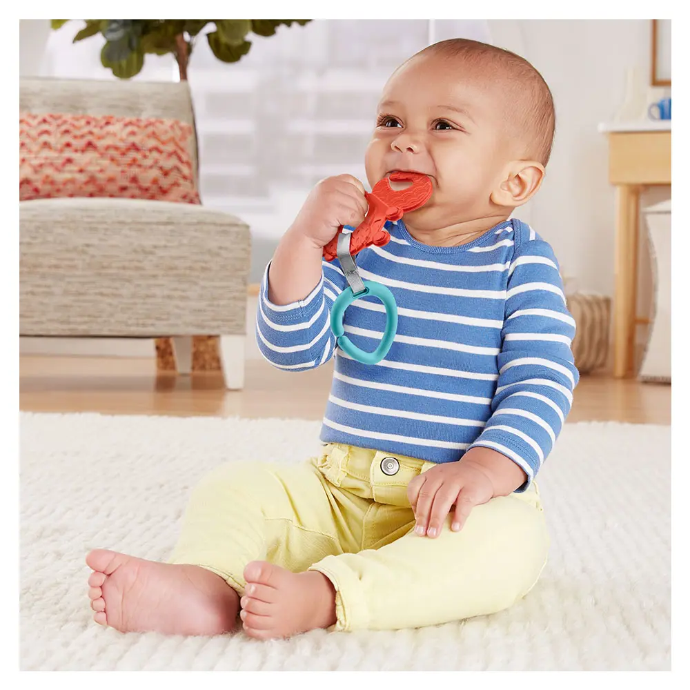 Fisher Price Sevimli Hayvancıklar Dişlikler GYN23-GYV39