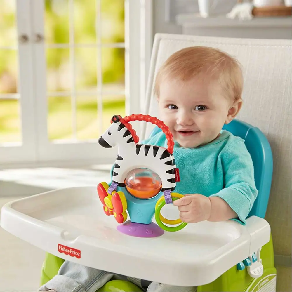 Fisher Price Sevimli Zebra Mama Koltuğu Oyuncağı FGJ11