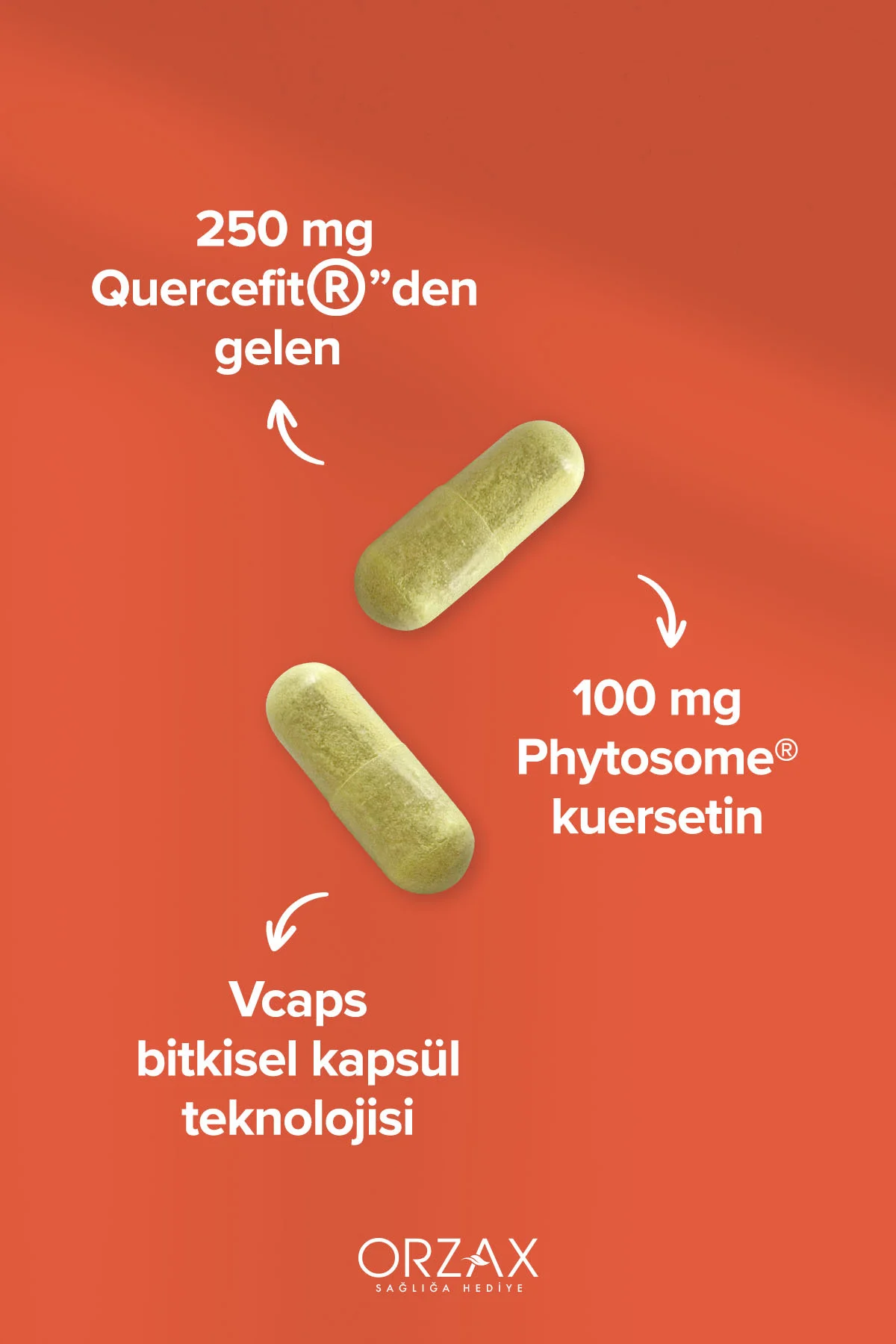 Fitozomal Quercetin 100 Mg 60 Kapsül
