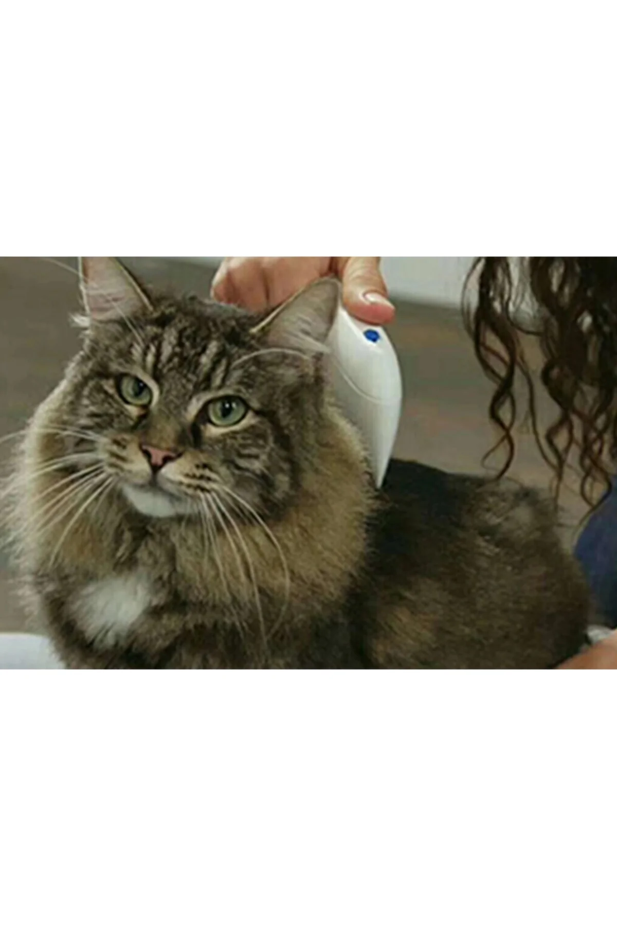 Flea Doctor Pet Hayvanlar İçin Haşere Öldürücü Pilli Pire Tarağı