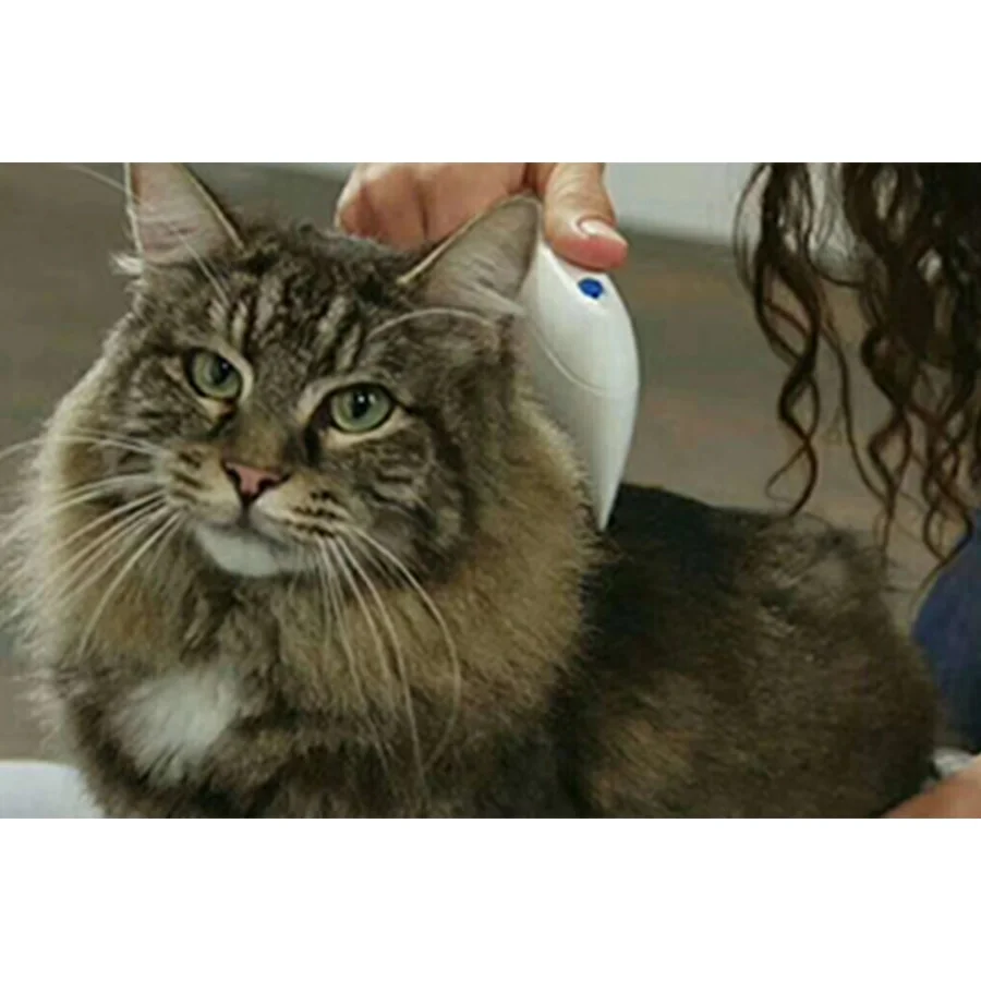 Flea Doctor Pet Hayvanlar İçin Haşere Öldürücü Pilli Pire Tarağı Fiyatı, Yorumları ve Özellikleri