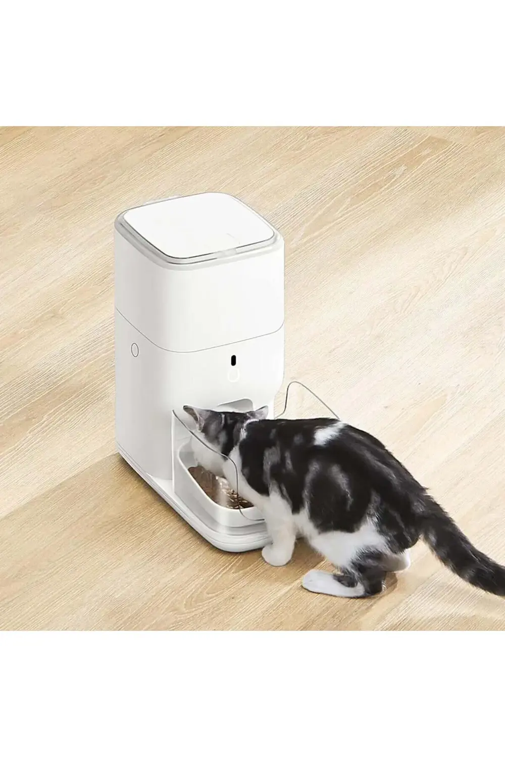 FO4 STD Akıllı Otomatik Mama Kabı - 4 Lt Kapasiteli, Uygulama Des