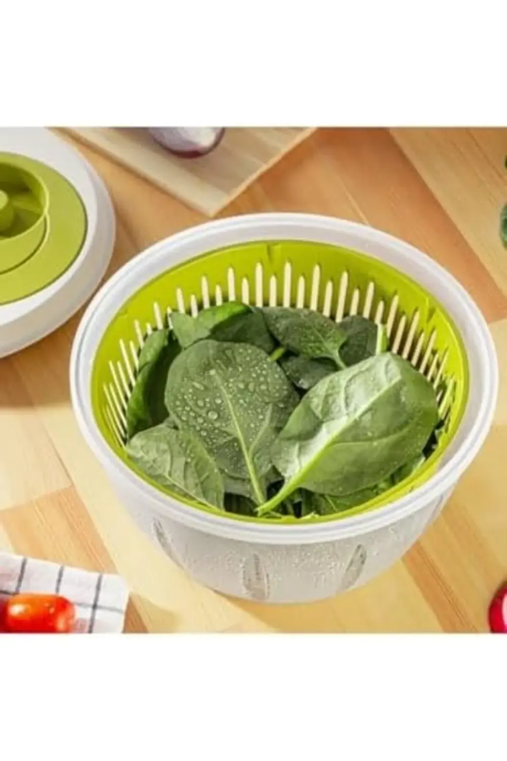 Focus Salata Kurutucu (Yeşil) 1178227