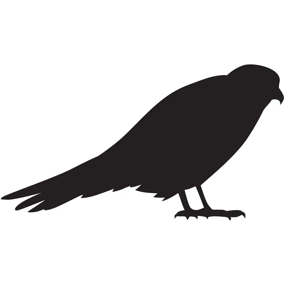 Folyo Sticker Arı Kuşu
