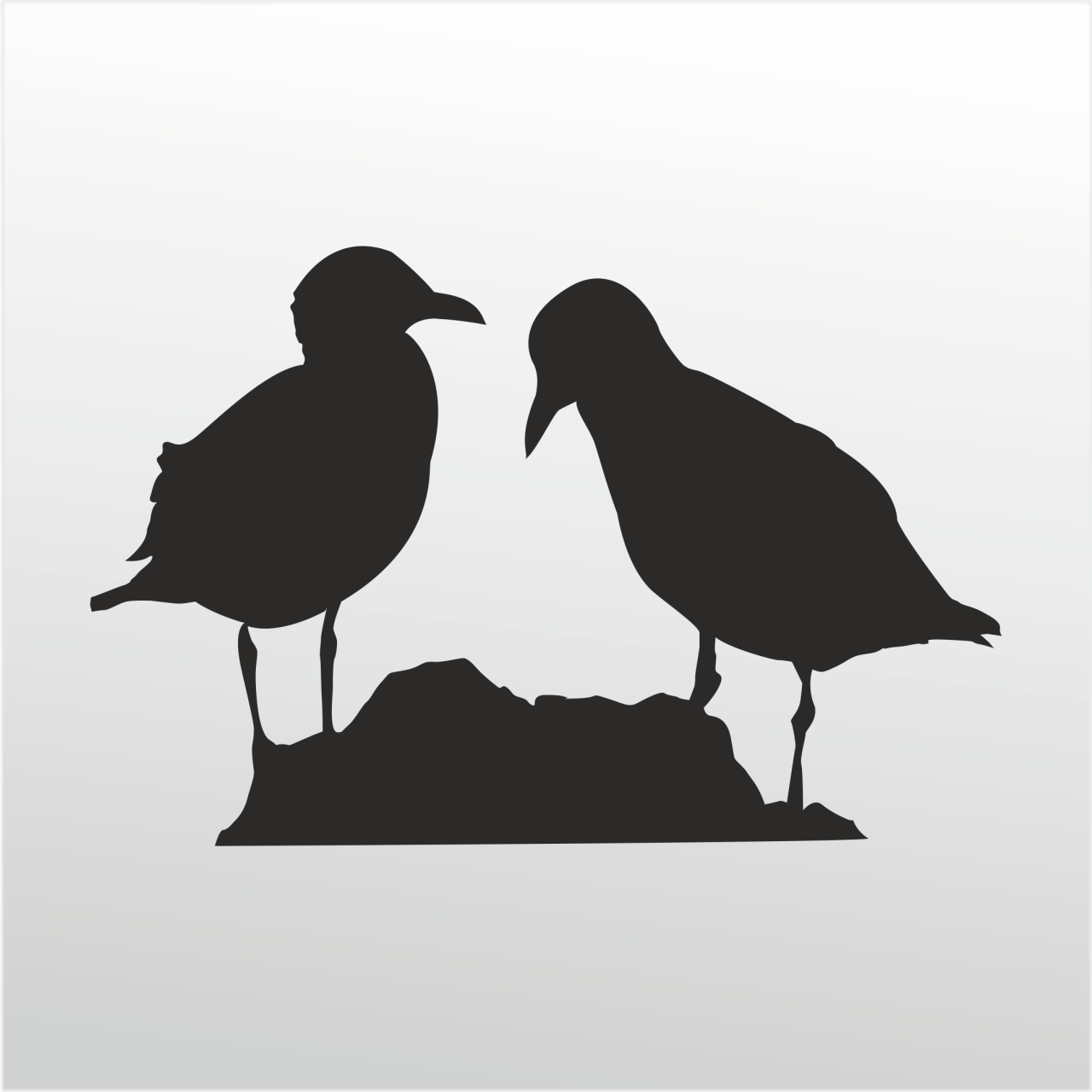 Technopa Folyo Sticker Kuşlar