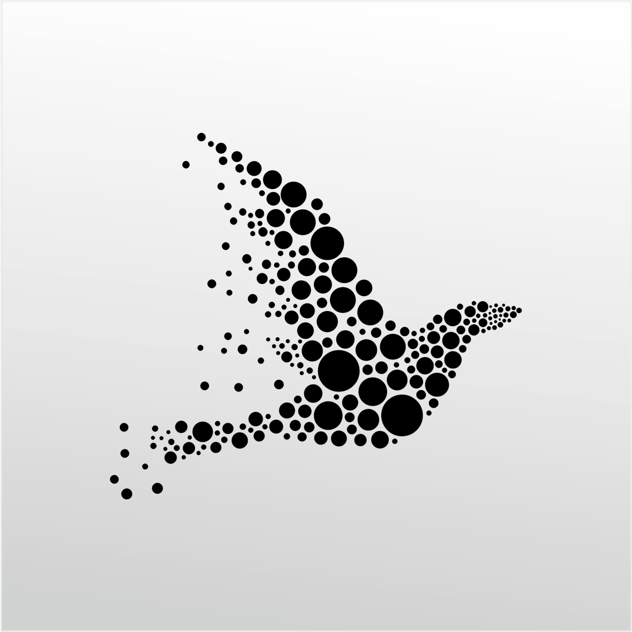 Technopa Folyo Sticker Kuş Deseni Adkpquy752