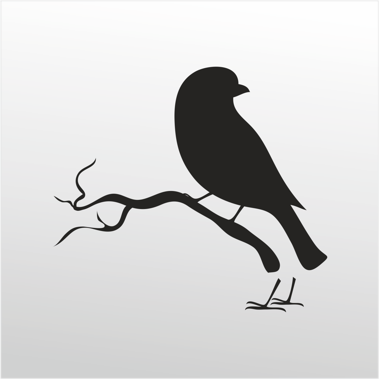 Technopa Folyo Sticker Kuş