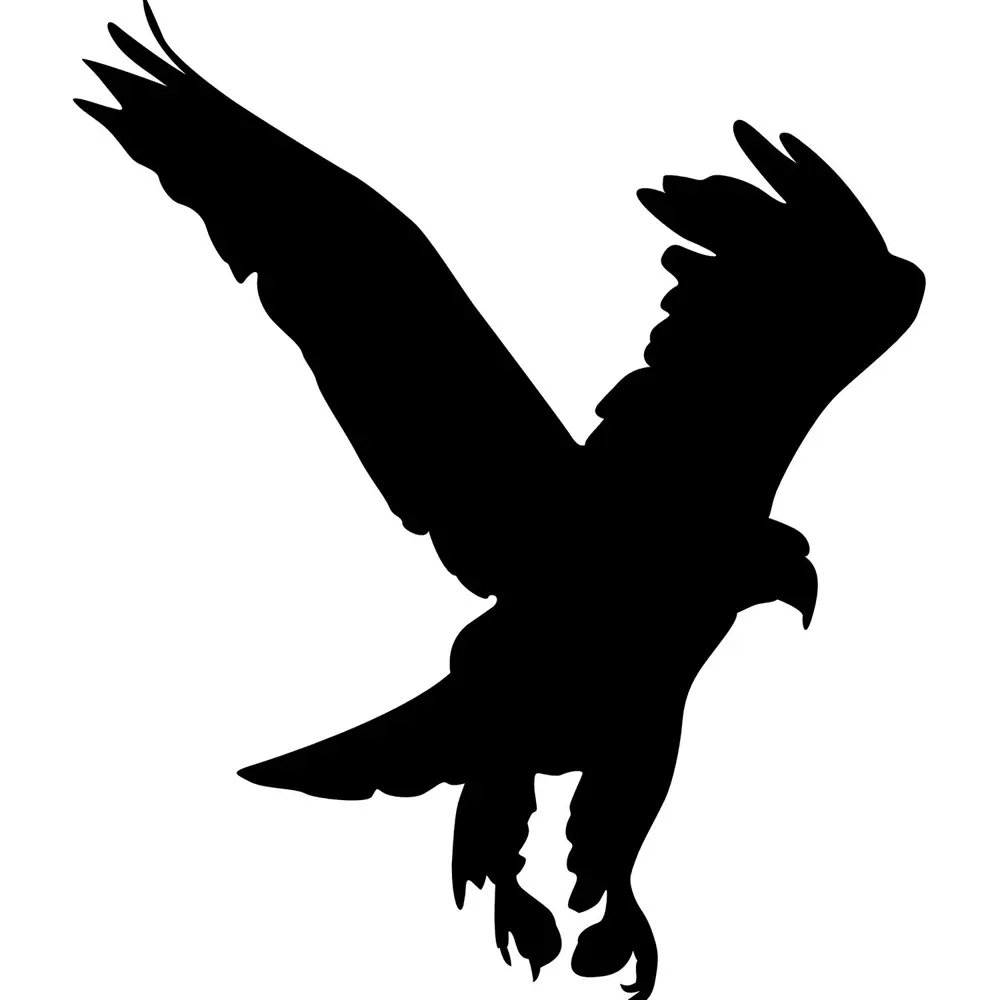Folyo Sticker Kartal ADKPQUY621 Folyo Sticker Kartal ADKPQUY621