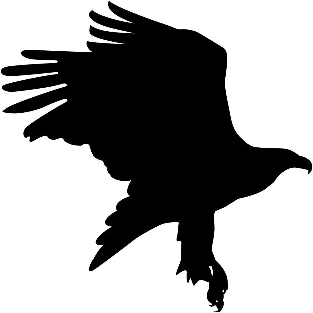 Folyo Sticker Kartal ADKPQUY624 Folyo Sticker Kartal ADKPQUY624