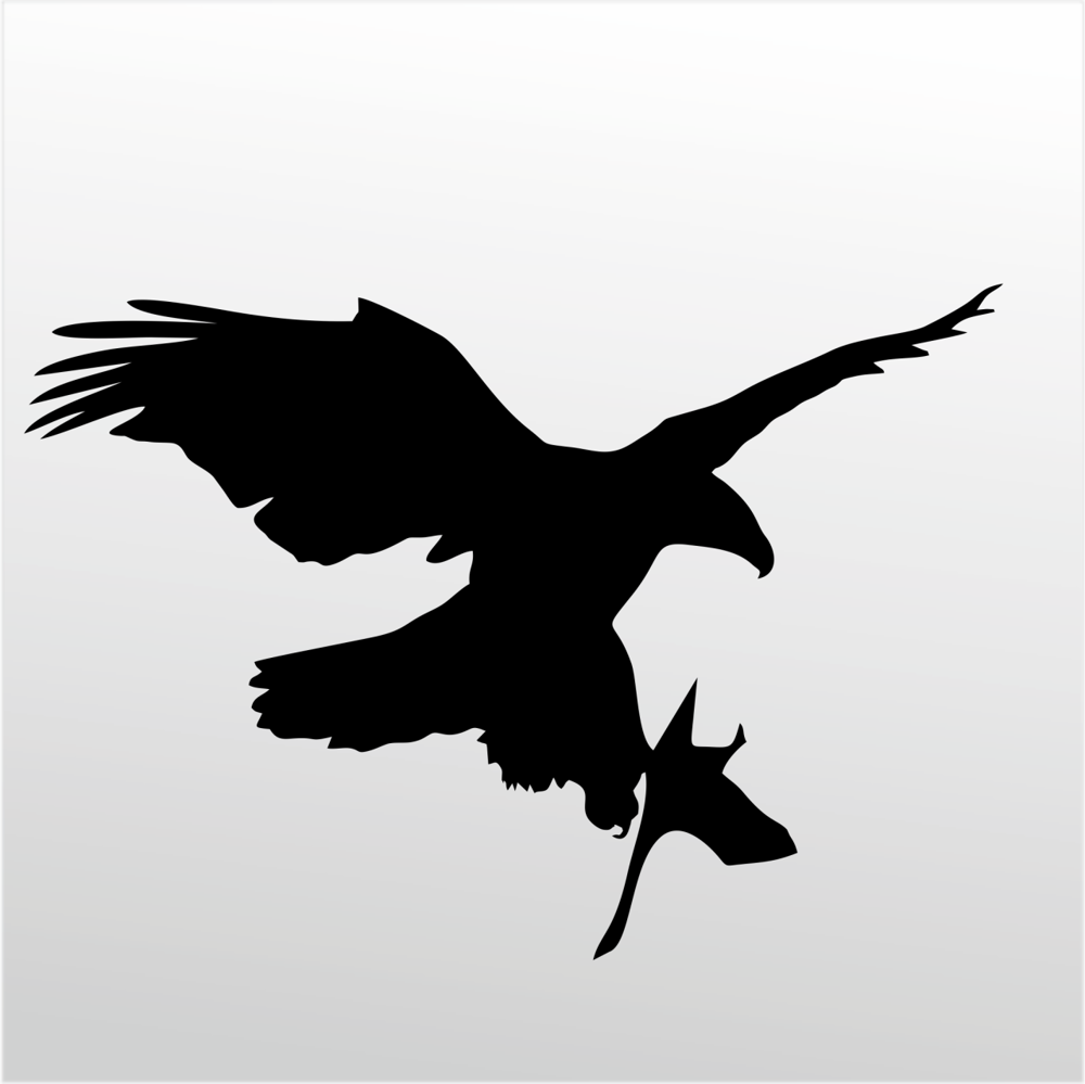 Folyo Sticker Kartal ADKPQUY625 Folyo Sticker Kartal ADKPQUY625
