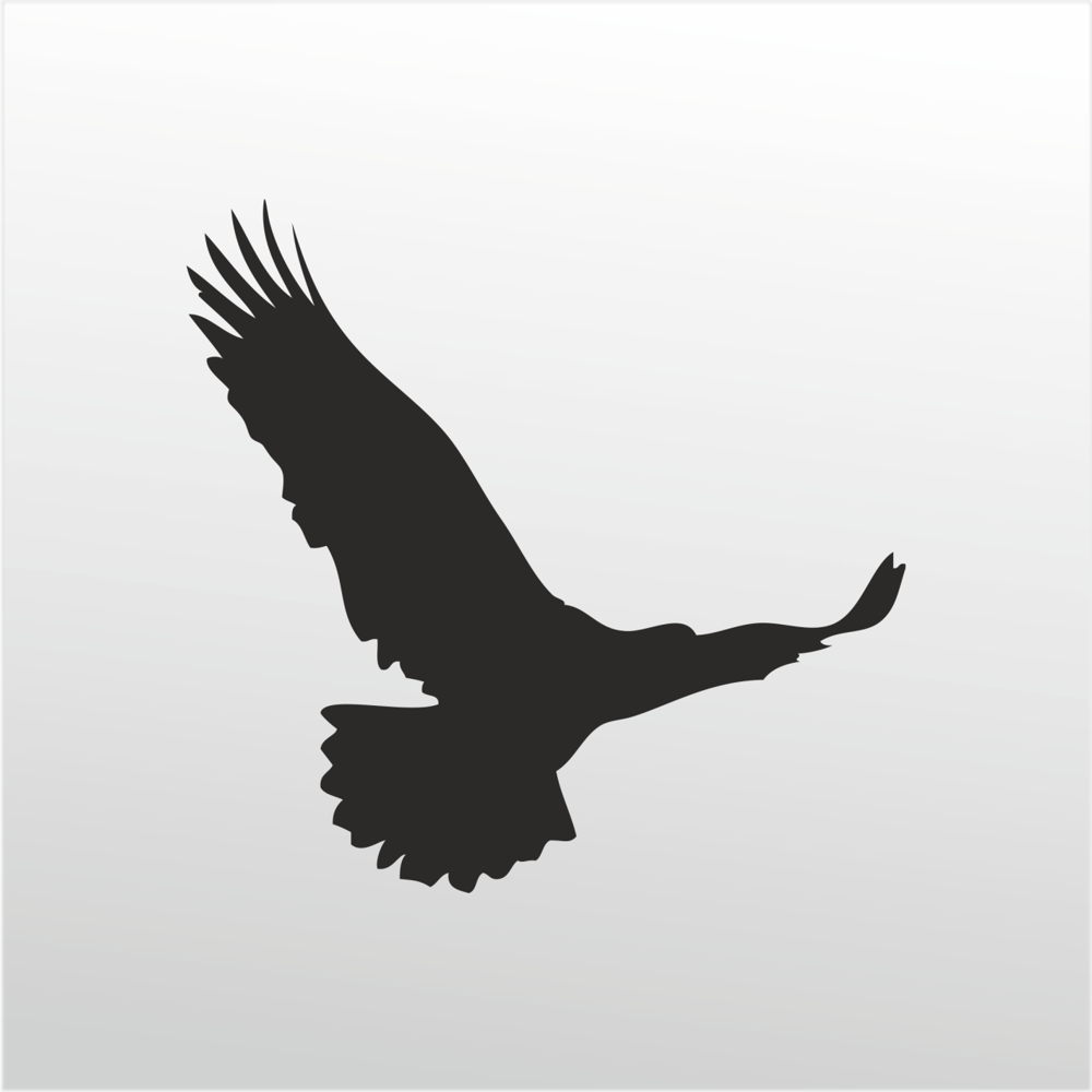 Folyo Sticker Kartal Folyo Sticker Kartal