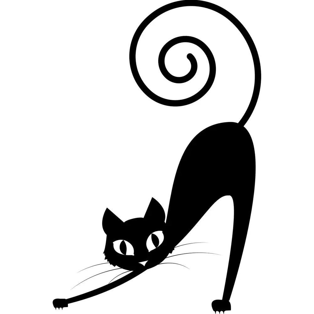 Folyo Sticker Kedi Folyo Sticker Kedi
