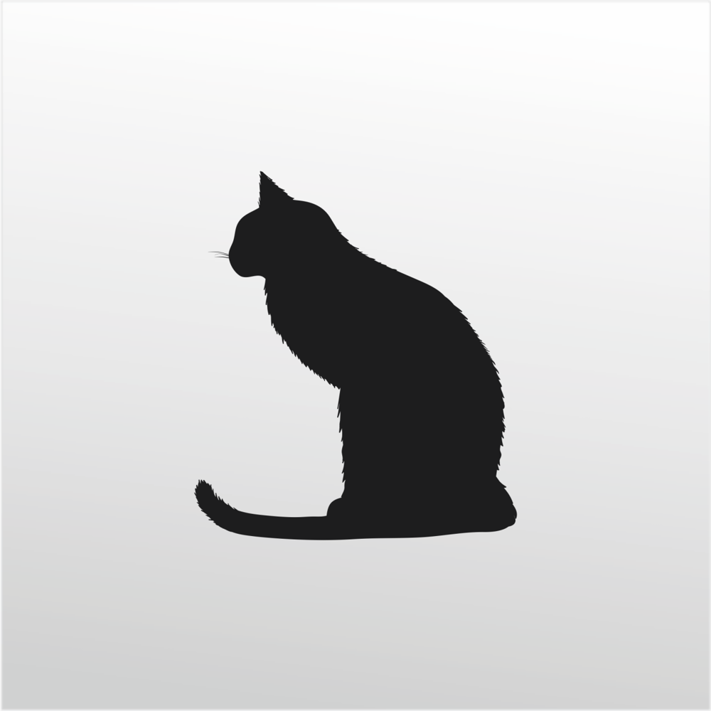 Folyo Sticker Kedi Folyo Sticker Kedi