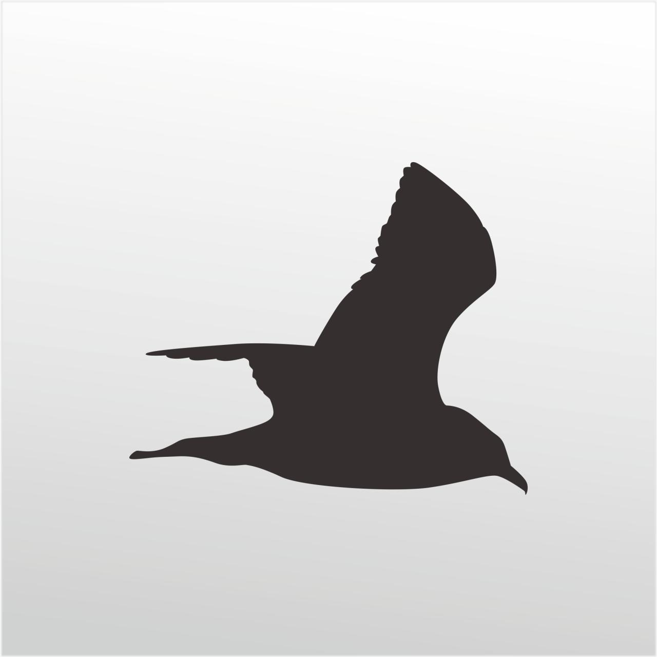 Technopa Folyo Sticker Martı