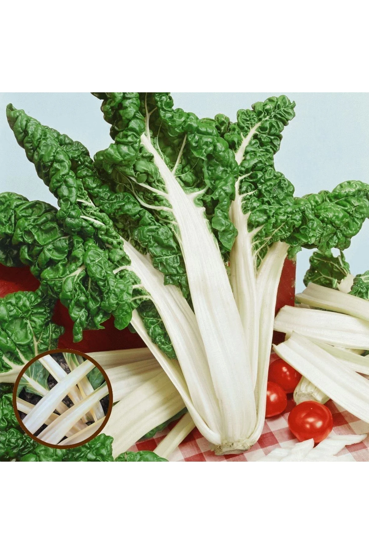 Fordhook Giant Beyaz Pazı Tohumu Chard