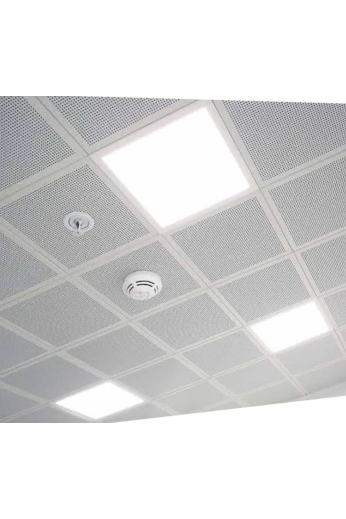 Forest  20W 30X30 Clipin Beyaz İşik Forest  20W 30X30 Clipin Beyaz İşik