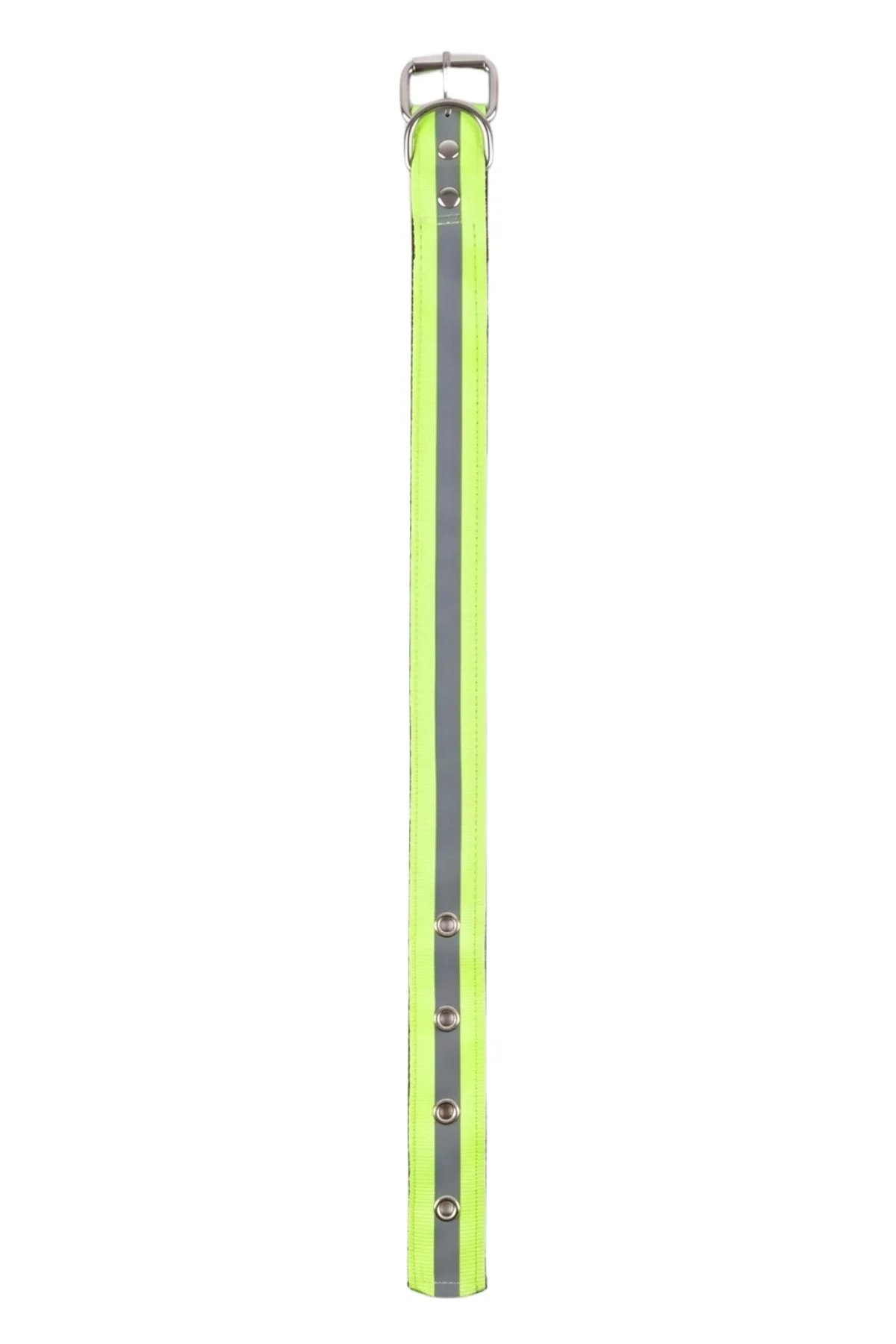 Fosforlu Yeşil Tasma 55 Cm