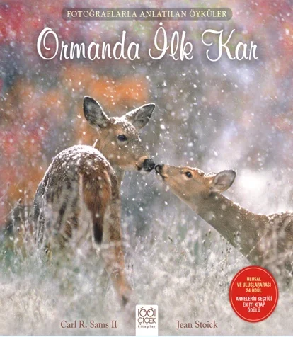 Fotoğraflarla Anlatılan Öyküler - Ormanda İlk Kar Fiyatı, Yorumları ve Özellikleri