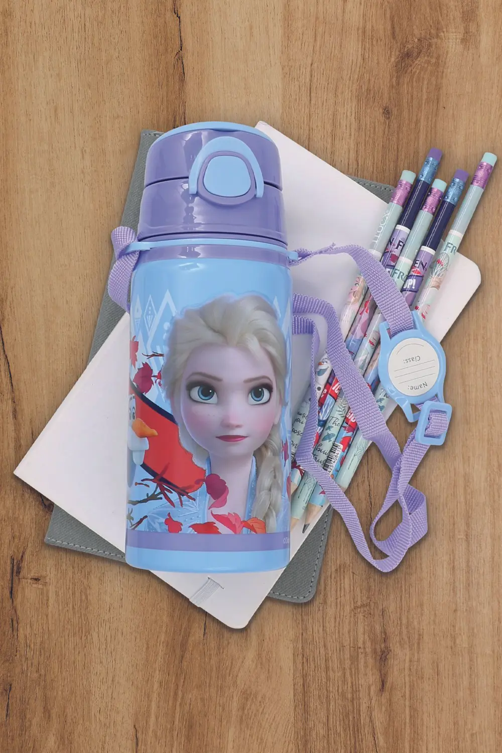 FROZEN ÇELİK MATARA SALTO 500 ML