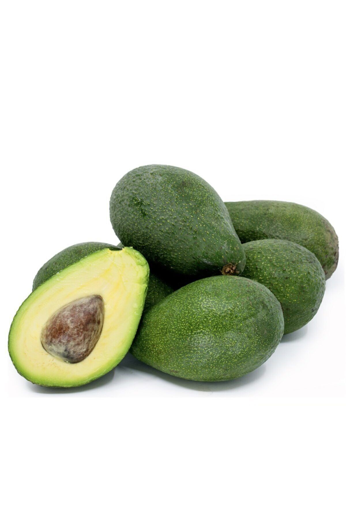 Alata Fidan Fuerte Avokado Fidanı 3 Yaş 80 100 Cm Boyunda Aşılı Tüplü