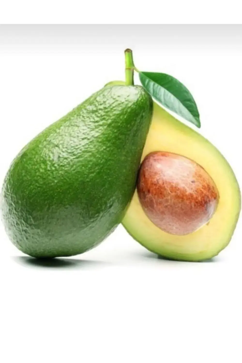 Fuerte Yeşil Avokado Fidanı Kokulu 3 Yaş 80-100cm Boy