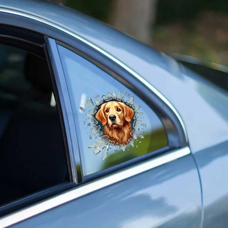 Fulcar Golden Araç Stickerı Fiyatı, Yorumları ve Özellikleri