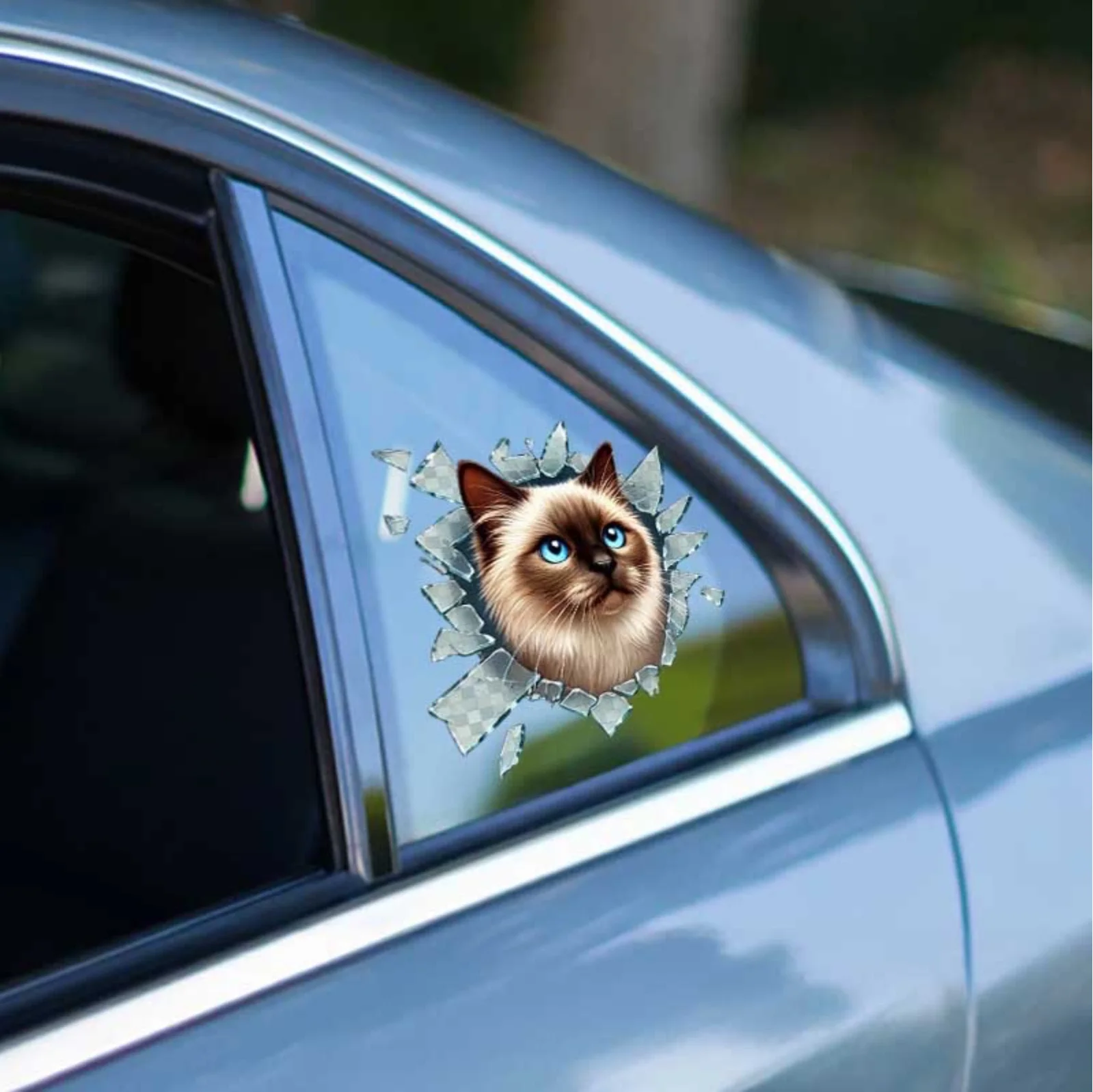 Fulcar Siamesse Araç Stickerı Fiyatı, Yorumları ve Özellikleri