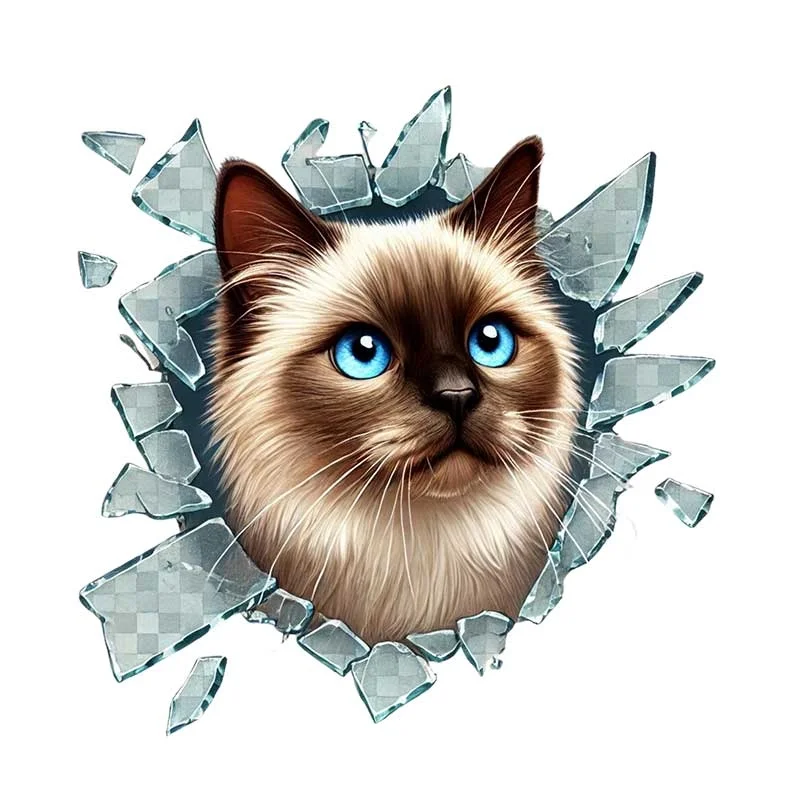 Fulcar Siamesse Araç Stickerı Fiyatı, Yorumları ve Özellikleri