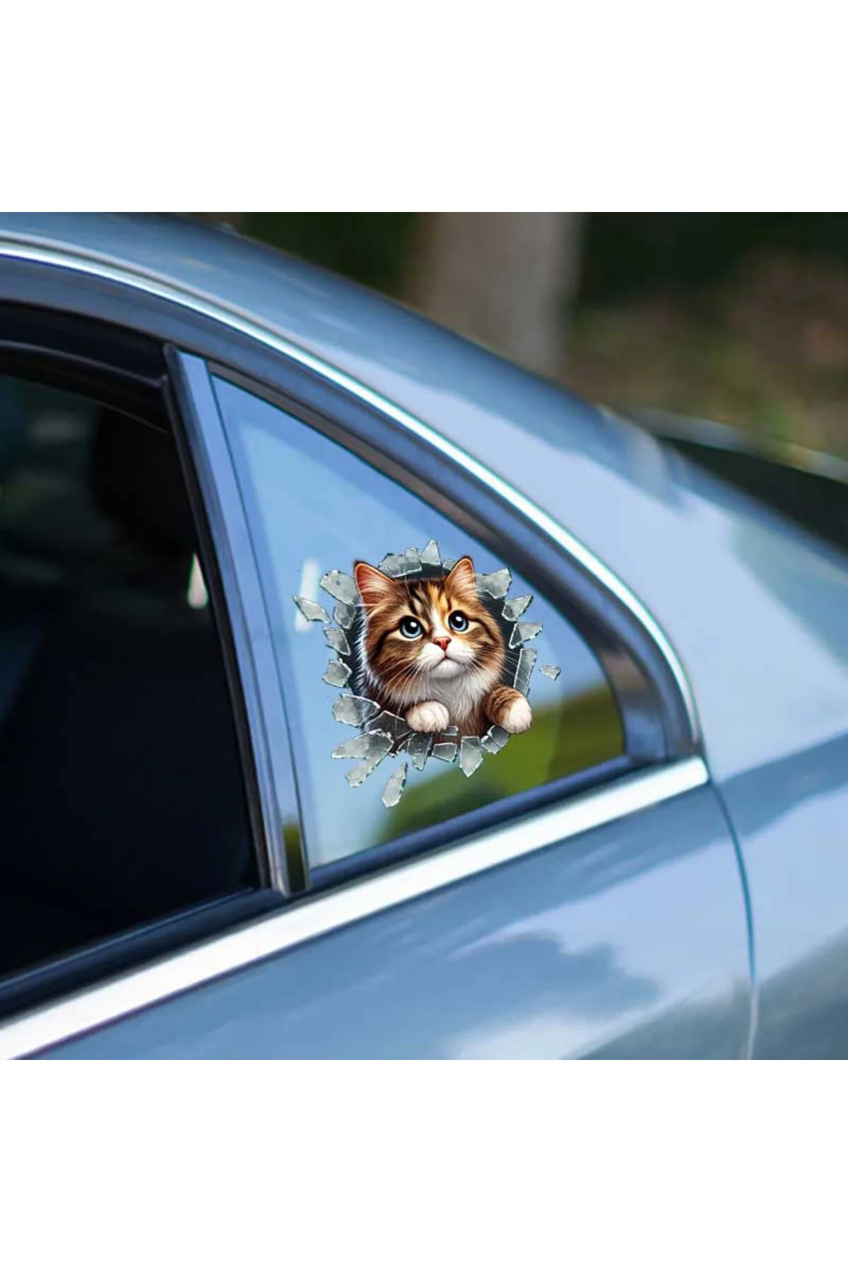 Fulcar Stray Araç Stickerı