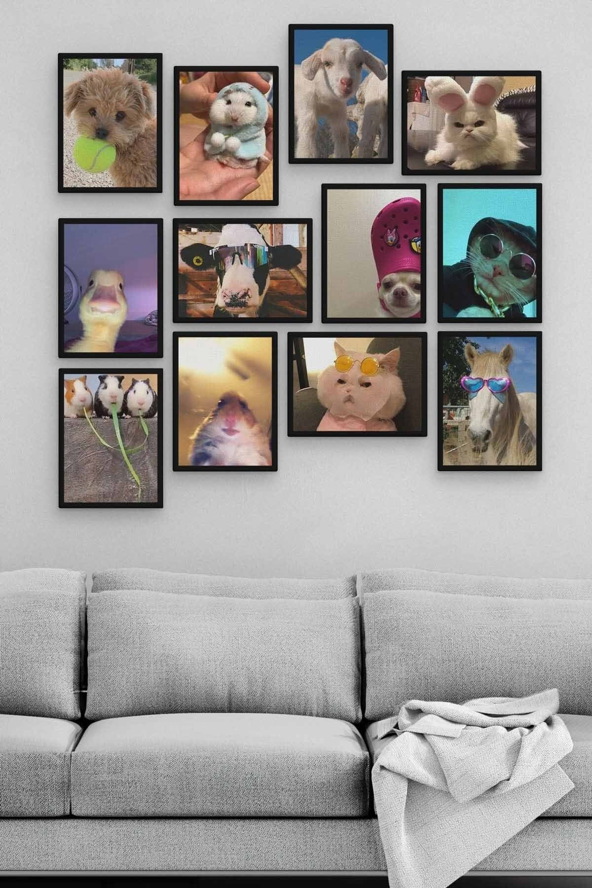 Pi Dekorasyon Funny Animal 12 Parça Ahşap Mdf Tablo Zlltb325