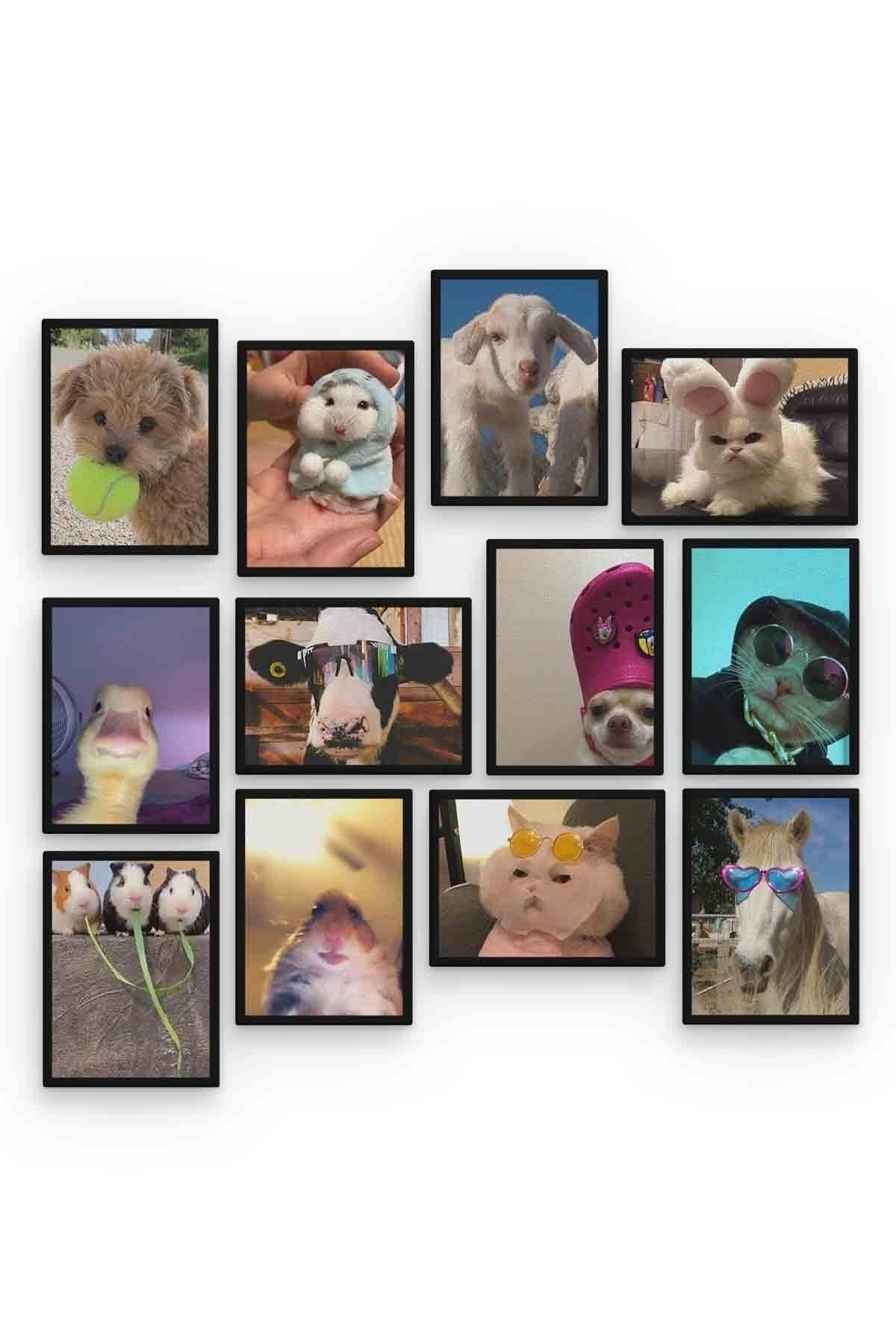 Funny Animal 12 Parça Mdf (ahşap) Tablo Ofis Boyu 