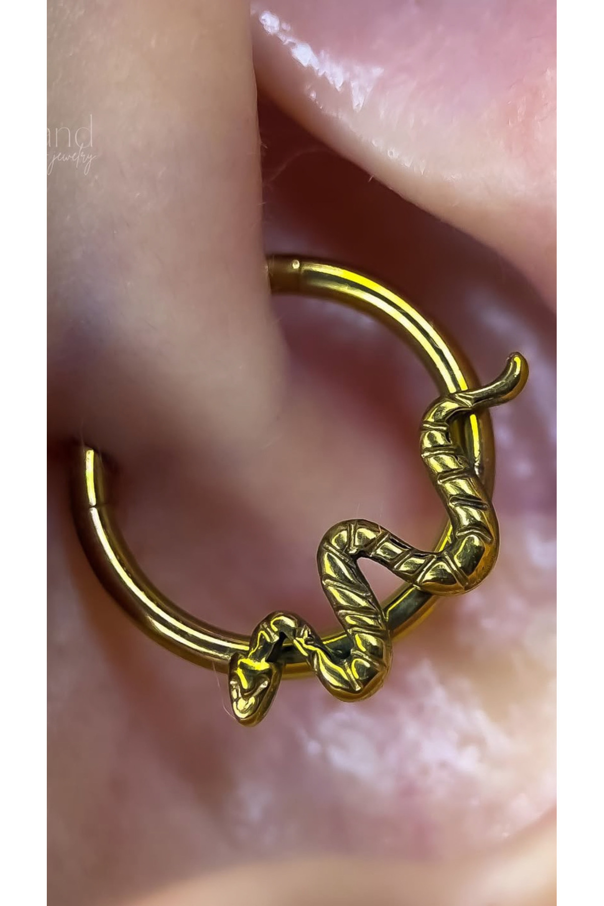 G23 TİTANİUM ( TİTANYUM)YILAN DAİTH SEPTUM UYUMLU 1 ADET PİERCİNG
