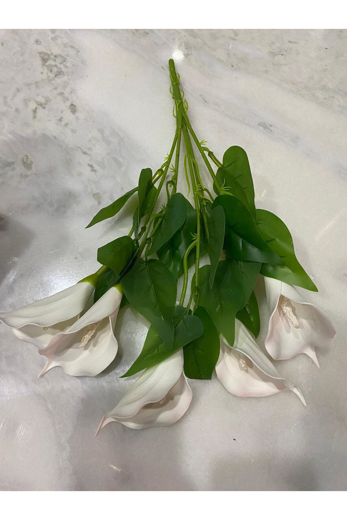 Elif Aksesuar Gala Çiçeği İslak Doku Demeti