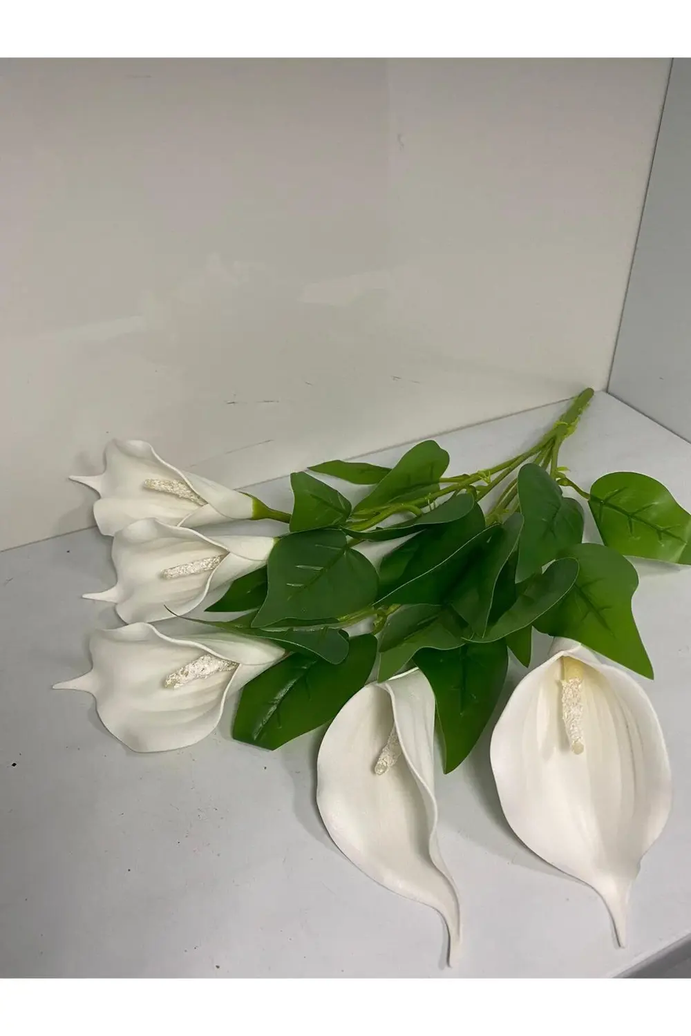 Gala Çiçeği Islak Doku Demeti