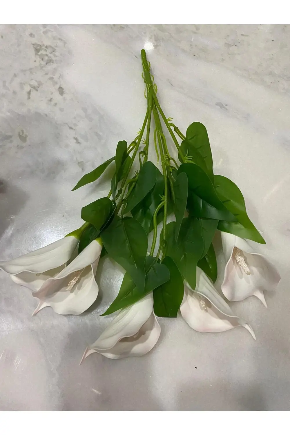 Gala Çiçeği Islak Doku Demeti