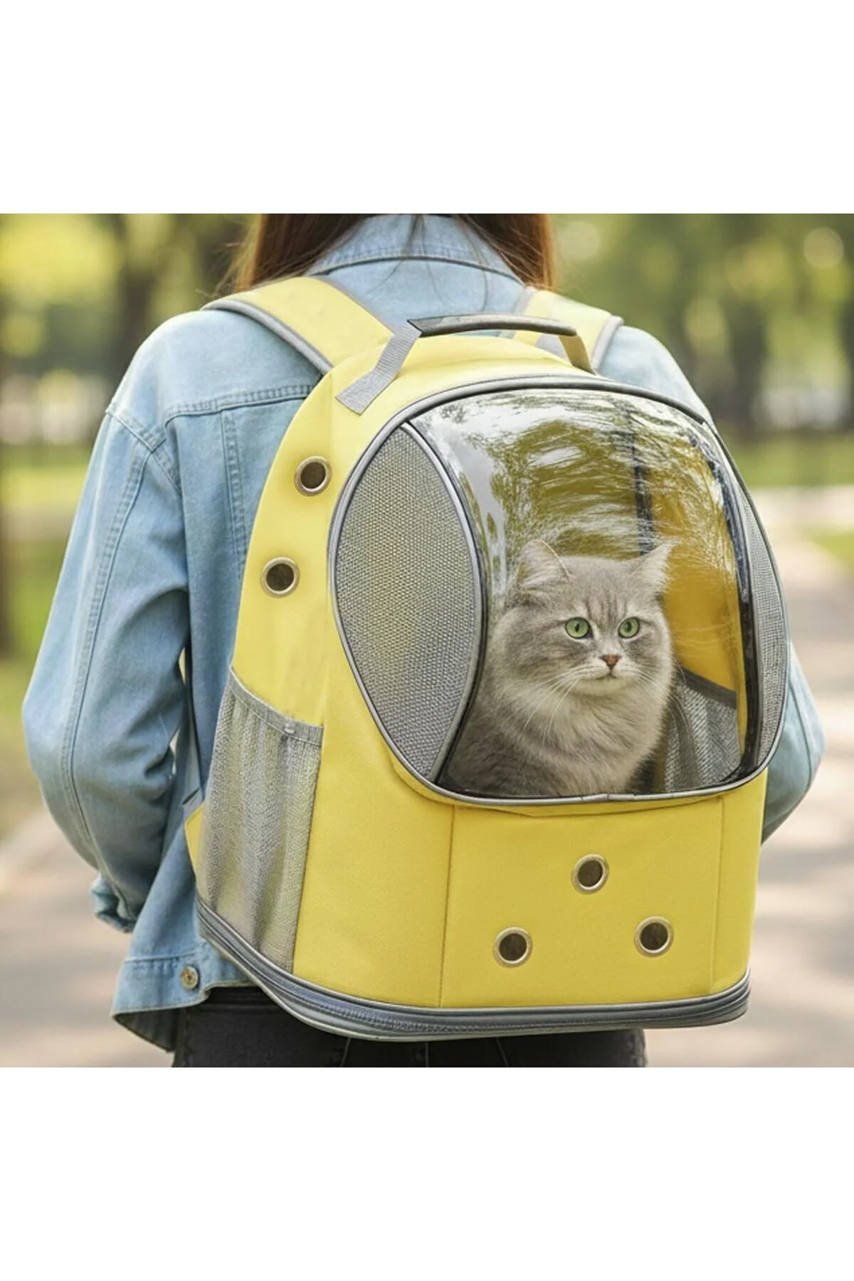 Galaksi Kedi Taşıma Çantası (Yeni Model) Ekstra Hava Kanallı Kedi