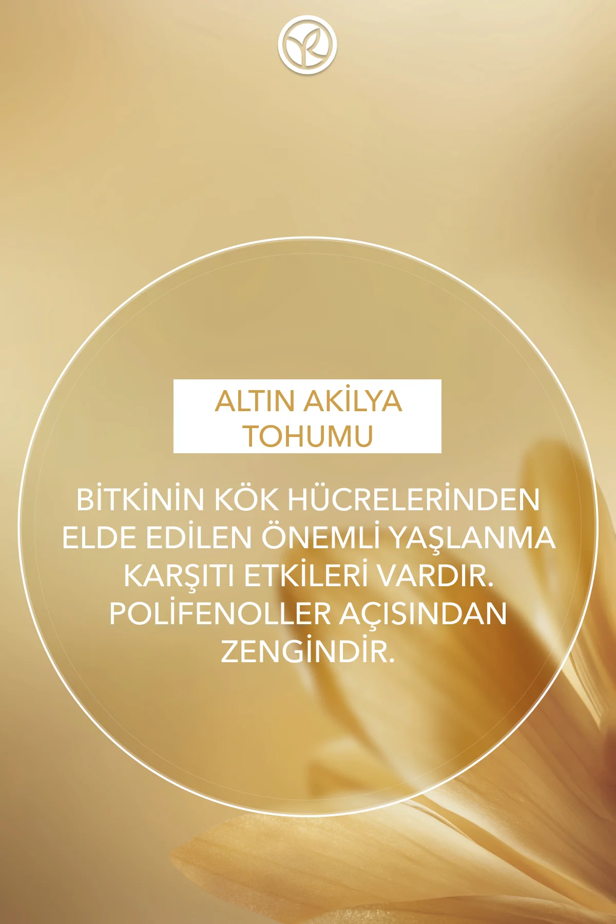 Gece Serumu-Niasinamid&Hyaluronik Asit-Yaşlanma Karşıtı Bitki Kök